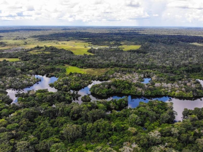 La Paya: una selva gigante en Putumayo azotada por el narcotráfico 